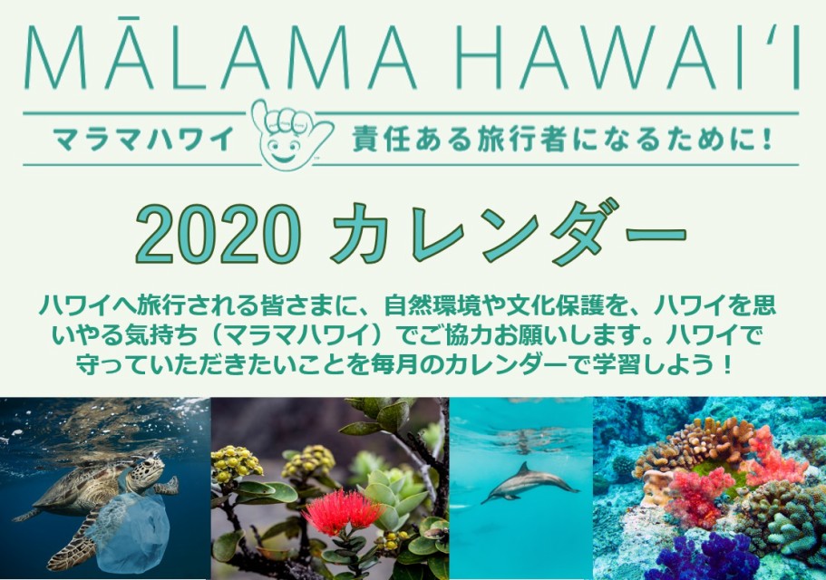 ハワイ壁紙カレンダー ダウンロード ハワイ州観光局ニュース Allhawaiiオールハワイ