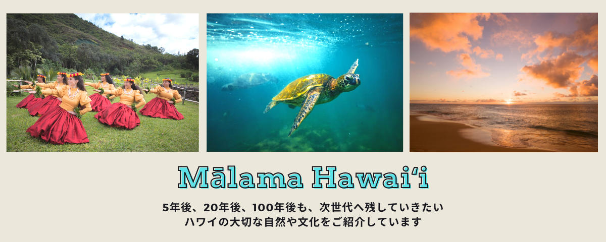 ハワイ壁紙カレンダー21 ダウンロード ハワイ州観光局ニュース Allhawaiiオールハワイ