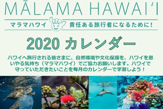 ハワイ壁紙カレンダー2020　ダウンロード