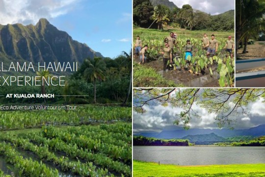 アウトリガーのSDGsの取組み エコ・アドベンチャー「マラマ・ハワイ」発表
