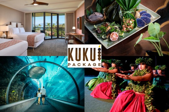  マウイ島カアナパリビーチホテル、伝統文化や自然環境を学べる「ククイ・パッケージ」を発売