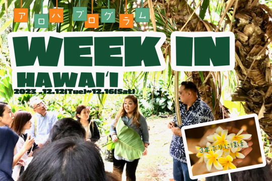 【ハワイが好きなメンバーが現地で繋がる特別ツアー】
他では味わえないハワイを体験できる「アロハプログラム Week in ハワイ2023」が3年ぶりに開催決定！