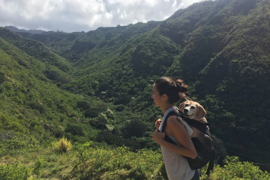 Mau'umae Trail 「マウ’ウマエ・トレール」