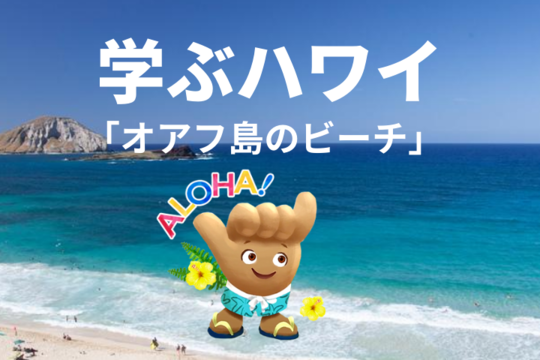 【学ぶハワイ】オアフ島のビーチを見ながらハワイ気分♪