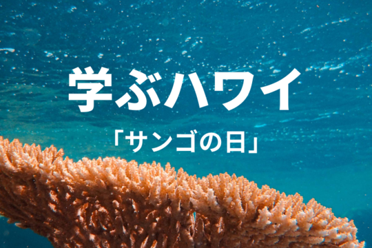 【学ぶハワイ】3月5日は「珊瑚の日」！