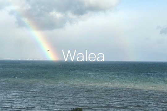 メレの中のハワイ語〜walea
