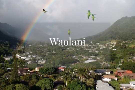 メレの中のハワイ百景〜オアフ島ワオラニ