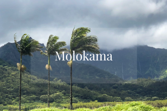 メレの中のハワイ百景～カウアイ島モロカマ