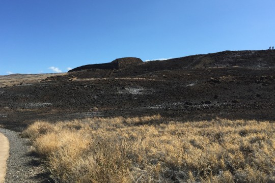 プウコホラ・ヘイアウの敷地が山火事の被害に