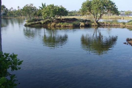 マナの宿る池カラフイプアア