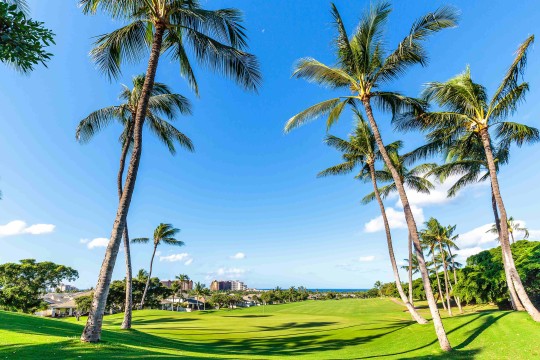 ハワイのゴルフ事情　2023年版