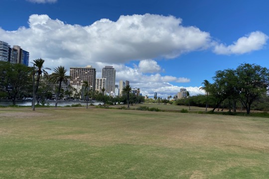 
ハワイ/オアフ島のゴルフ場紹介　　 アラワイゴルフコース（市営）