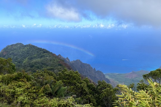 次のハワイ旅行では「ガーデンアイランド」カウアイ島に是非おいで下さい！
