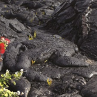 ハワイでの学習素材：地質学