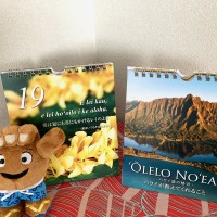 ハワイ州観光局、ハワイ語の格言を集めた日めくりカレンダーをプレゼント
～8月に実施されるハワイスペシャリスト検定の上級合格者が対象～