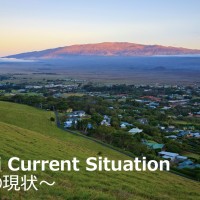 ハワイの現状と最新情報2022年