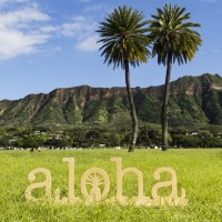 ハワイ州観光局、「マヒナ・オレロ・ハワイ」プロモーションキャンペーン開始
〜 ハワイ州で毎年2月はハワイ語月間 〜

