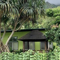 ハワイの固有種と伝統植物を守る「パパハナ クアオラ」のマラマな取り組み