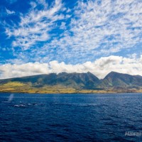ハワイ州観光局、「マウイ島西部 山火事救援金」の御礼とご報告
