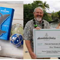 ホノルル クッキー カンパニーとハワイ インスティチュート オブ マリーン バイオロジー（HIMB）が傷ついたクジラやイルカを救うパートナーに
