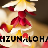「KizunAloha連合会」プロジェクト第二弾 〜ハワイ動画メッセージを1000万人の日本の皆様にお届け〜
