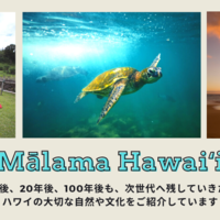 ハワイ壁紙カレンダー2021　ダウンロード