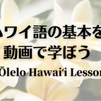 ハワイ語を学ぶ特別オンライン講座　アーカイブ動画を公開！