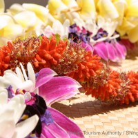 日本でも楽しめる毎年恒例のメイデーイベントを紹介
ハワイのメイデーは文化的シンボルのレイを祝う日
