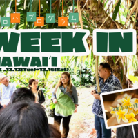 【ハワイが好きなメンバーが現地で繋がる特別ツアー】
他では味わえないハワイを体験できる「アロハプログラム Week in ハワイ2023」が3年ぶりに開催決定！