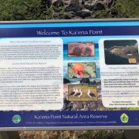 Ka'ena Point Trail 「カエナ・ポイント・トレイル」