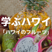 【学ぶハワイ】ハワイに行ったら食べたい！ハワイのフルーツについて学ぼう