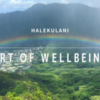 ハレクラニ、ニューノーマルライフのための「アート オブ ウェルビーイング」プログラムを提供