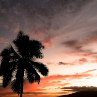 ALOHA ʻĀina@Maui nui #1 Lahaina Sunset