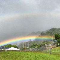 メレの中のハワイ百景〜マノアのトゥアヒネ