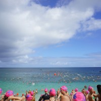ハワイの青い海で、オープンウォータースイムを楽しもう！
