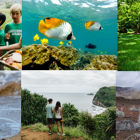 ハワイの自然、環境を守ろう