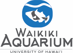 Waimanalo Beach Cleanup with Waikiki Aquarium