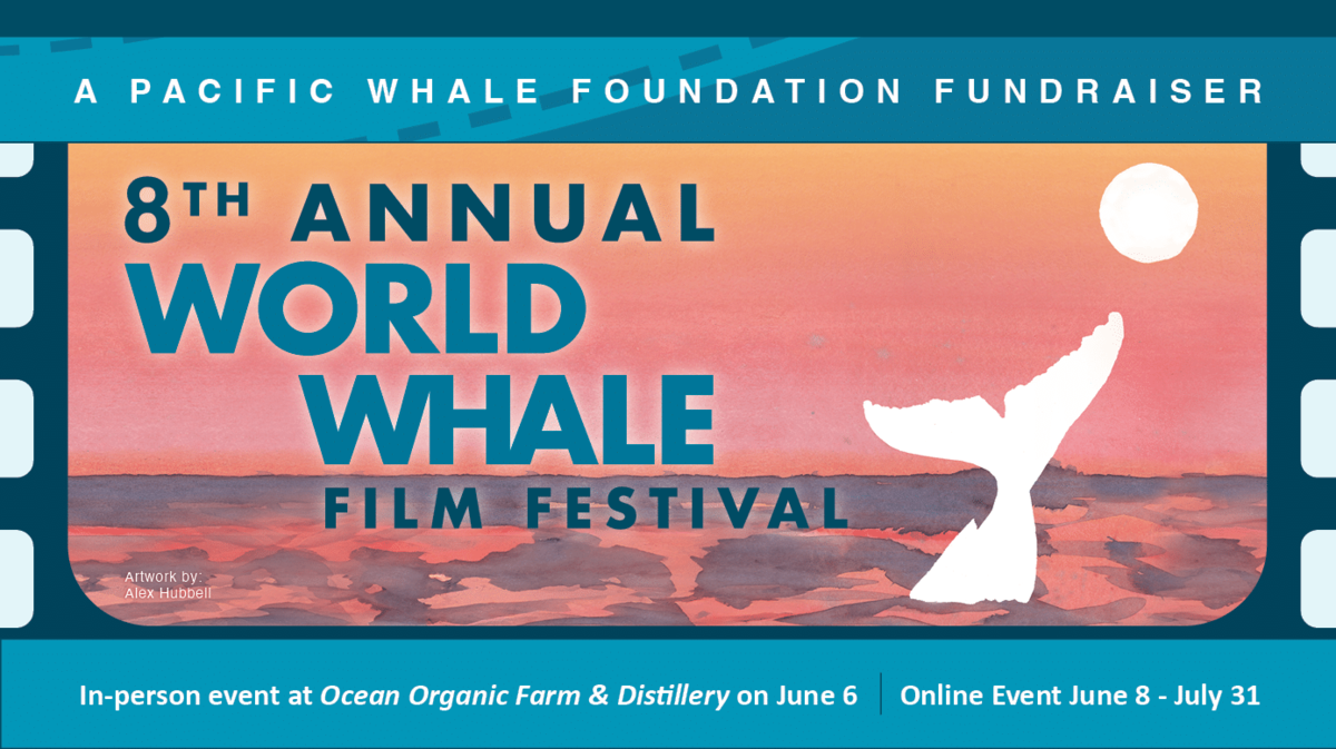 World Whale Film Festival