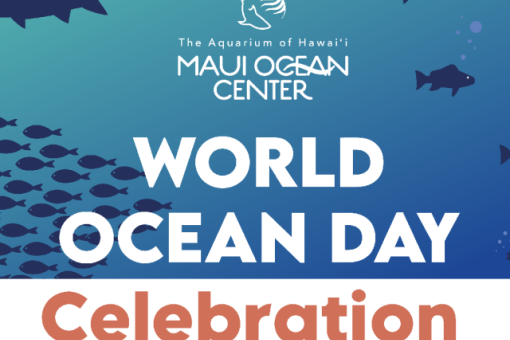 World Ocean Day Celebration