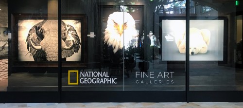 National Geographic Art Talk Happy Hour