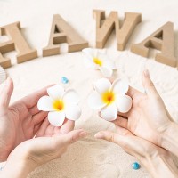ハワイアンフェア ～Ha aka kou mana'o o Hawaii～ at京王プラザホテル
