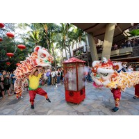 Chinese New Year at Royal Hawaiian Center