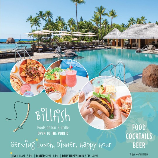 Billfish menu
