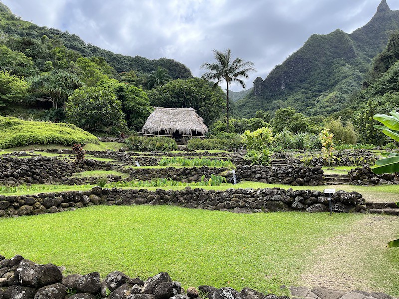 リマフリ・ガーデン：ハワイの「遊ぶ・体験する」｜allhawaiiオールハワイ