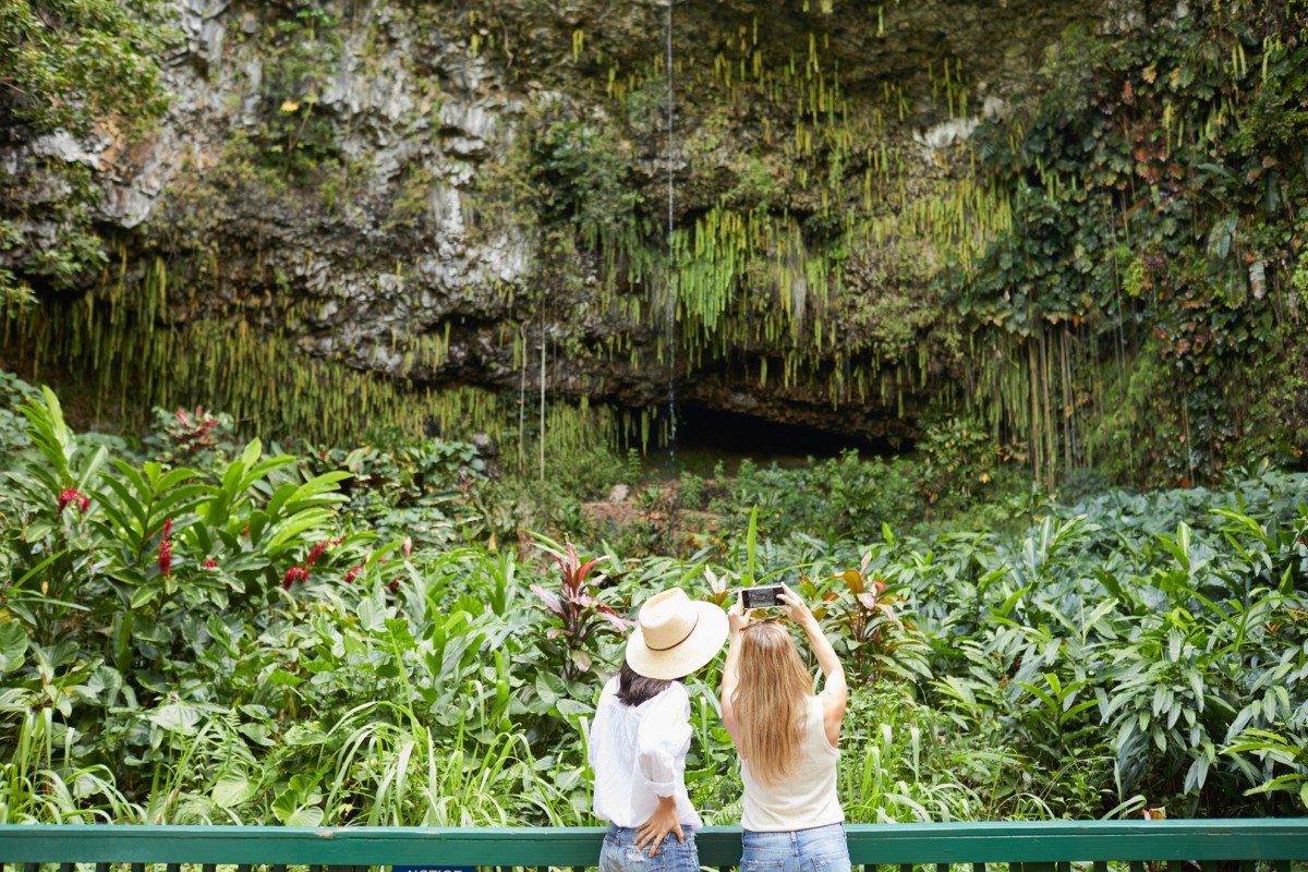 シダの洞窟 ハワイの 自然 名所 Allhawaiiオールハワイ