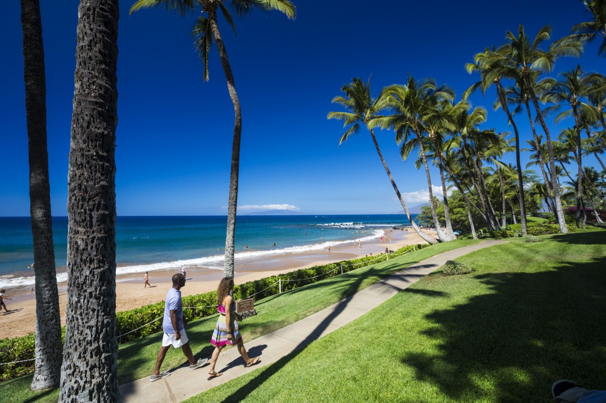 ワイレア ビーチ ハワイの 自然 名所 Allhawaiiオールハワイ