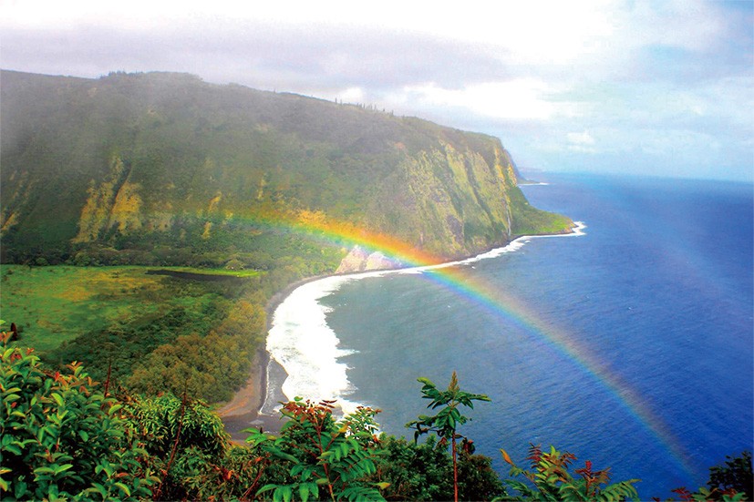 一日でハワイ島を丸ごと満喫！！ マサシのネイチャースクール｜allhawaiiオールハワイ