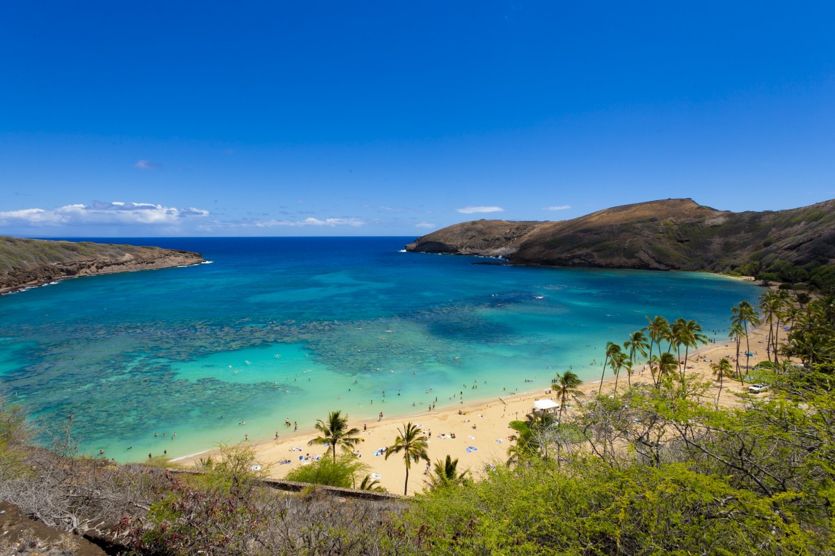 ハナウマ湾自然保護区 ハワイの 自然 名所 Allhawaiiオールハワイ