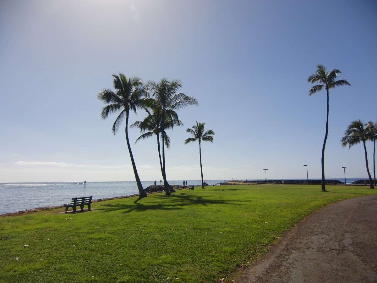 アラモアナ ビーチパーク ハワイの 自然 名所 Allhawaiiオールハワイ