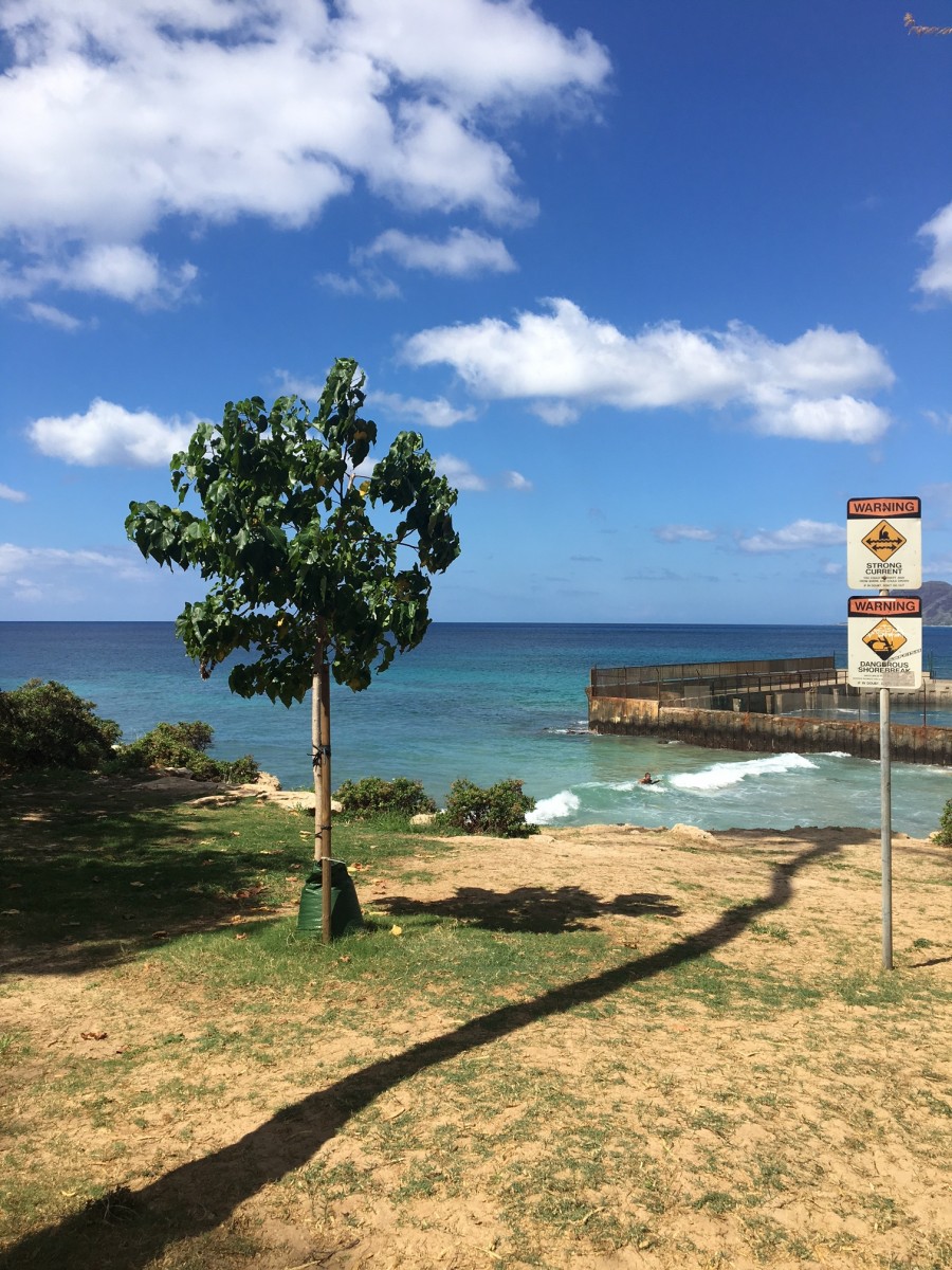 Kahe Point Beach Park 